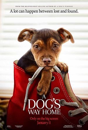 A Dog's Way Home Full Movie Download 2019 HD