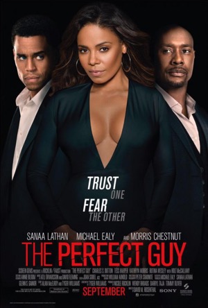 The Perfect Guy Full Movie Download Free 2015 Dual Audio HD